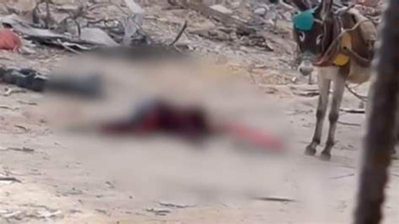 Israeli Snipers Kill Two Palestinian Children in Gaza’s Rafah Despite Ceasefire