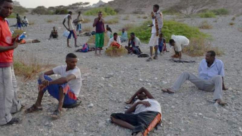 African Communities Condemn Saudi Crimes Against Migrants