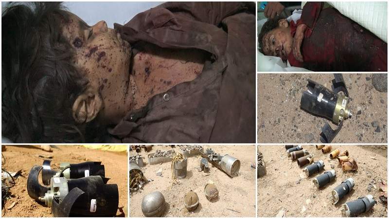 3,941 Citizens Killed, Wounded by Cluster Bombs in Sa’adah Governorate: Executive Center for Mine Action