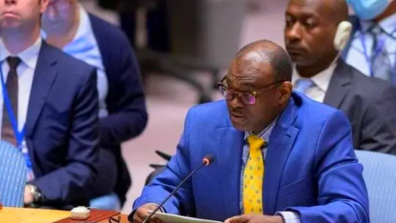 Sudan's Representative to UN Accuses UAE of Financing Conflict