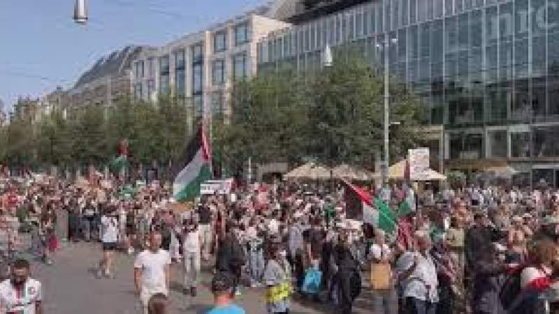  Pro-Palestinian Protest in Netherlands Challenges Govt. Stance on Gaza War 