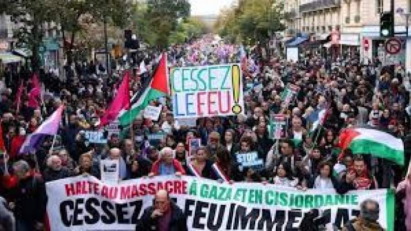 Pro-Palestinian Protesters in Paris, Brussels Demand End to Gaza Genocide