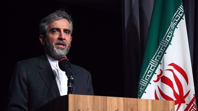 Iranian Senior Diplomat Says Govt. to Uphold, Safeguard Rights of Iranians Abroad 
