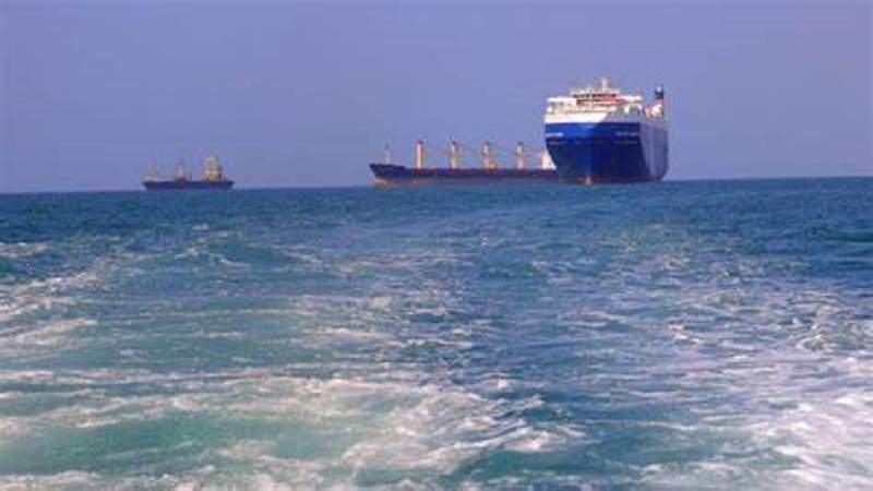 Yemeni Maritime Blockade Deals Heavy Economic Blow to Israeli Chemicals and Import Sectors