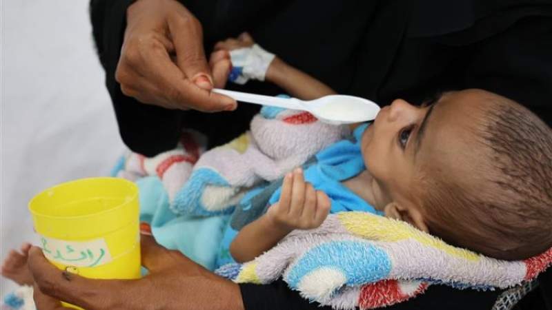 Doctors Without Borders Warns of Alarming Malnutrition Crisis Among Yemeni Children