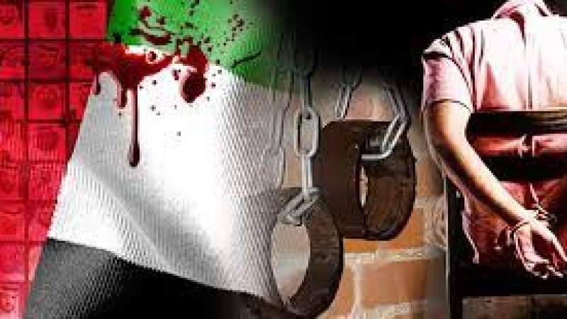 HRW Criticizes UAE's Participation in War against Yemen