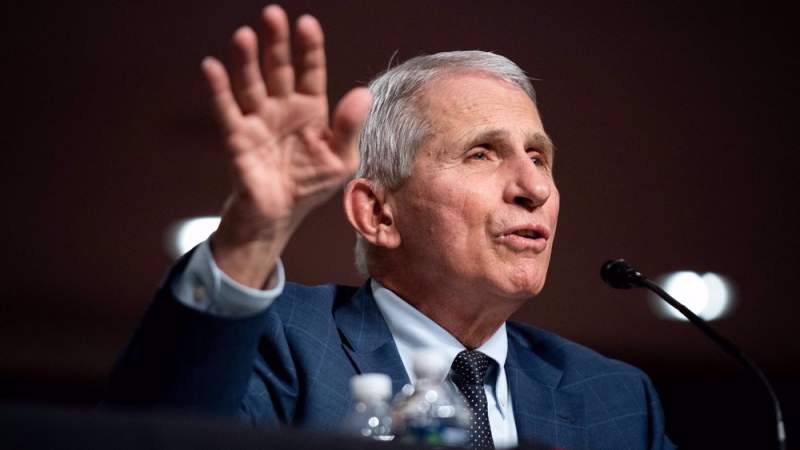 Dr. Anthony Fauci, Face of US Fight Against COVID, to Step Down