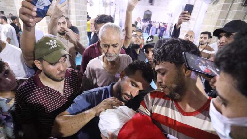 Norwegian Refugee Council Urges Immediate Ceasefire in Israeli War on Gaza