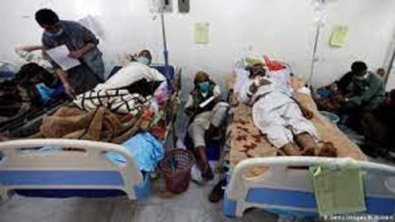 Dengue Fever Spread in Taiz City, pro-Saudi Government Lacking Action